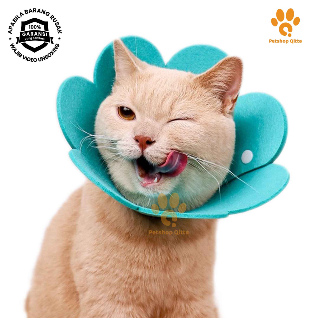 Jual Collar Spons / Pelindung Kucing & Anjing ( Masa Penyembuhan