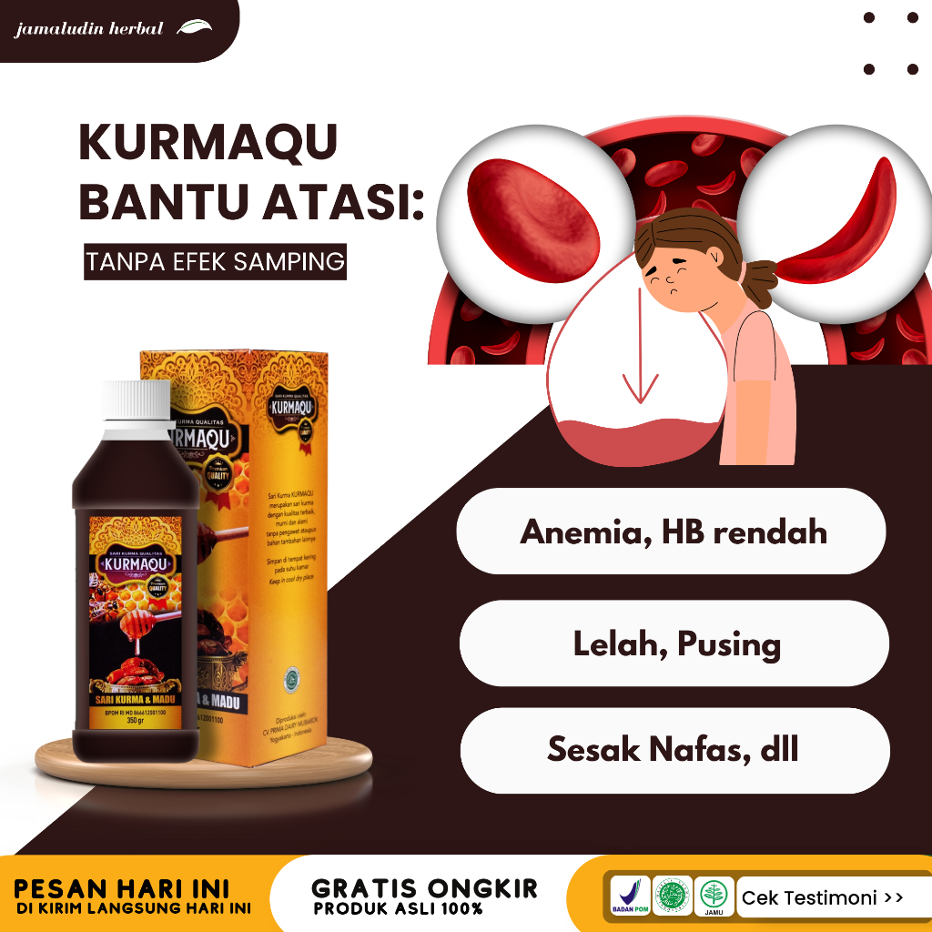 Jual Obat Anemia Herbal Obat Darah Rendah Obat Penambah Darah