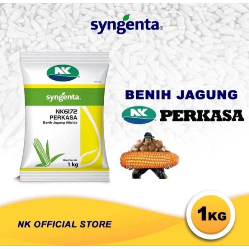 Jual Benih Jagung NK PERKASA 6172 KEMASAN 1KG | Shopee Indonesia