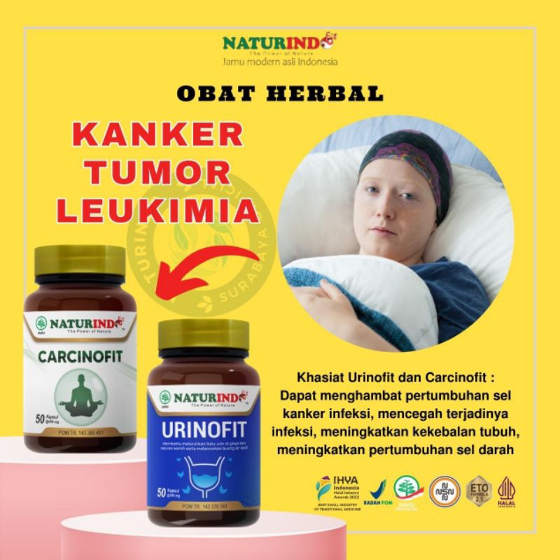 Jual Obat Herbal Kanker Benjolan Payudara Kanker Serviks Tumor Obat Benjolan Herbal Obat Segala