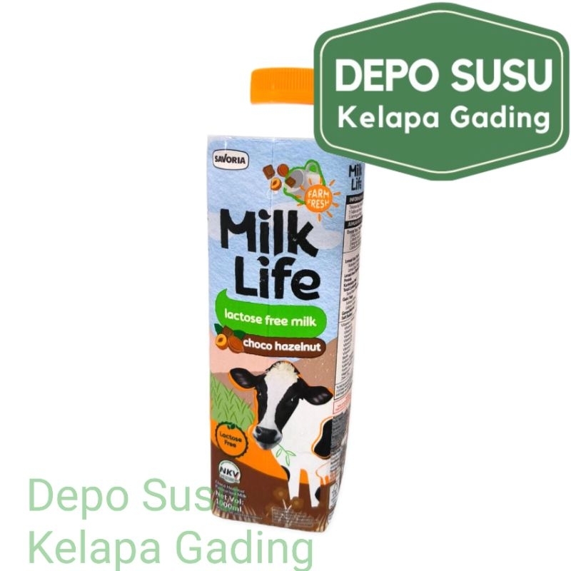 Jual Milk Life 1l Lactose Free Chocolate Hazelnut Susu Coklat Bebas Laktosa 1 Liter Milklife 9818