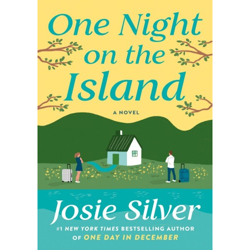 One Night on the Island main image 1