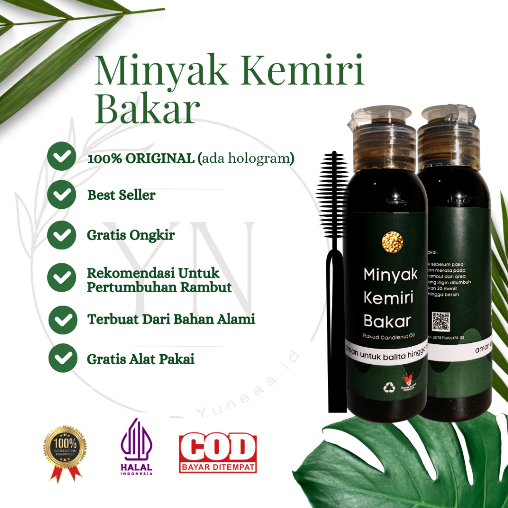 Jual MINYAK KEMIRI BAKAR ASLI BALI 100% ORIGINAL BPOM - Penumbuh Rambut ...