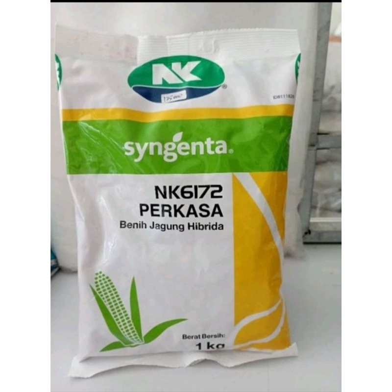 Jual BENIH JAGUNG NK 6172 PERKASA BENIH HIBRIDA ASLI PABRIK ISI 1KG ...