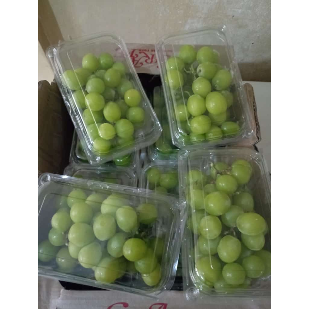 Jual ANGGUR SHINE MUSCAT 500GR | Shopee Indonesia