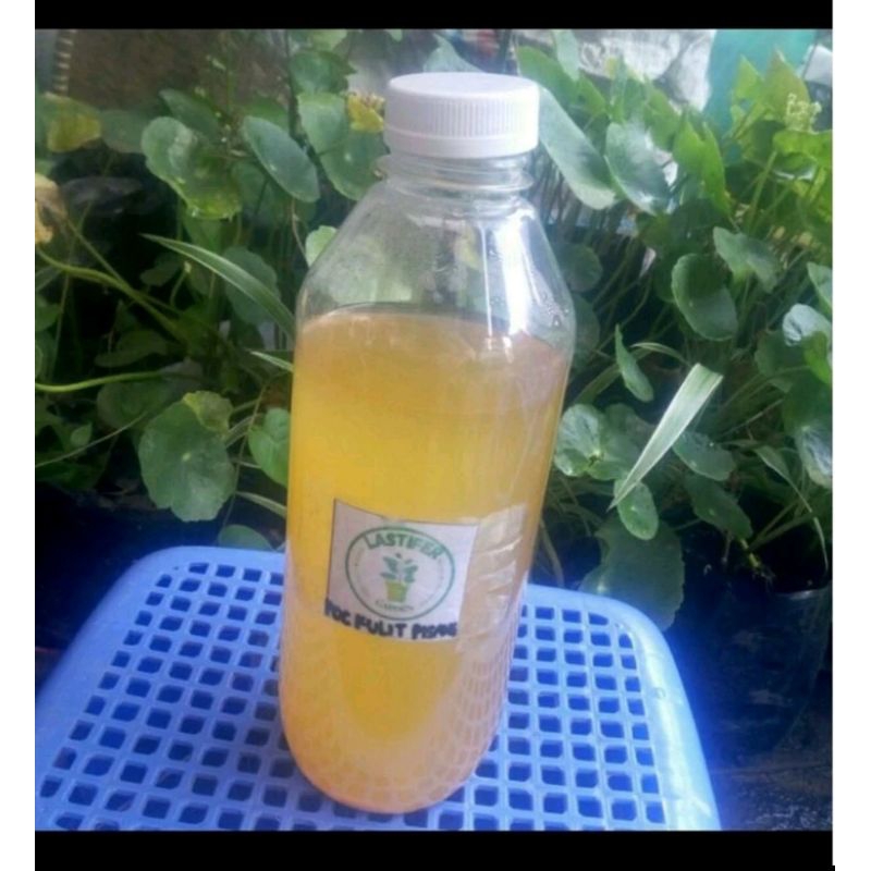 Jual pupuk poc kulit pisang kepok kemasan botol 250 ml | Shopee Indonesia