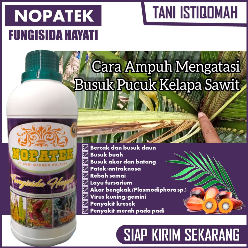 Jual Nopatek 500 Ml Obat Sawit Mati Pucuk Ampuh Pupuk Organik Semprot