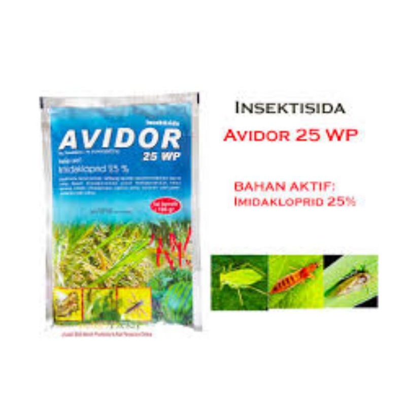 Jual INSEKTISIDA AVIDOR 25 WP KEMASAN 100 GRAM | Shopee Indonesia