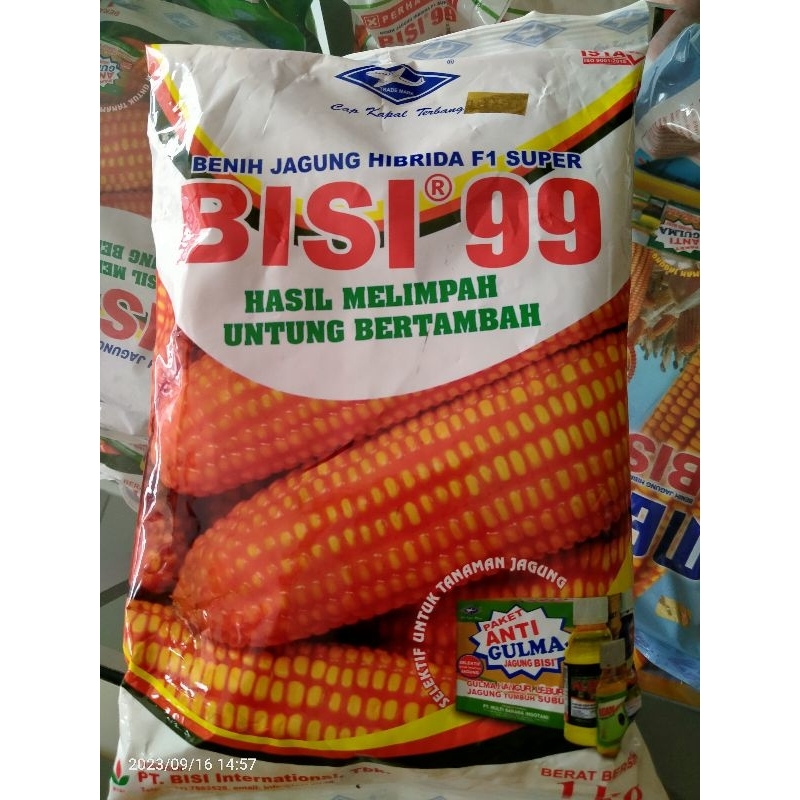 Jual Bisi 99 Benih Jagung Hibrida F1 Super Shopee Indonesia 5804