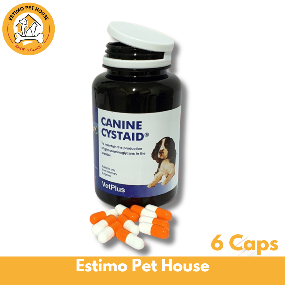 Jual VETPLUS CYSTAID Canine Dog 6 tablet Obat Saluran Kemih Kencing ...