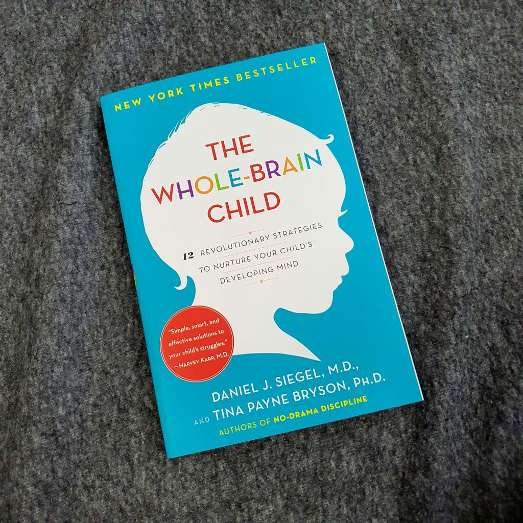 Jual Buku The Whole-Brain Child 12 Revolutionary Strategies to Nurture ...