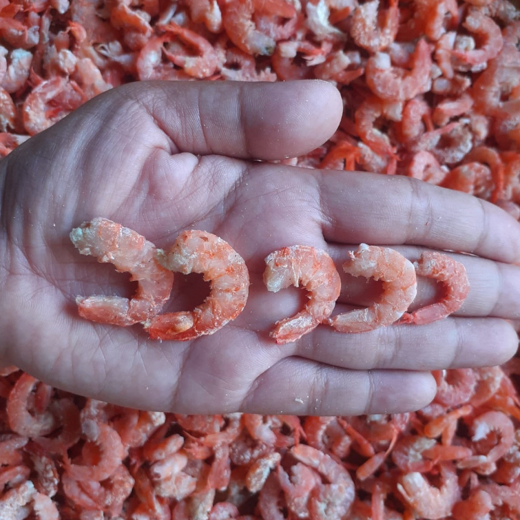 Jual Udang ebi kering 250 gram Shopee Indonesia