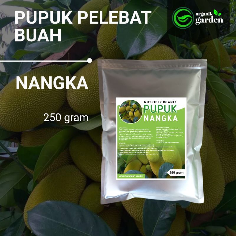 Jual Pupuk Pelebat Buah NANGKA | Booster Melebatkan Secara Maksimal ...