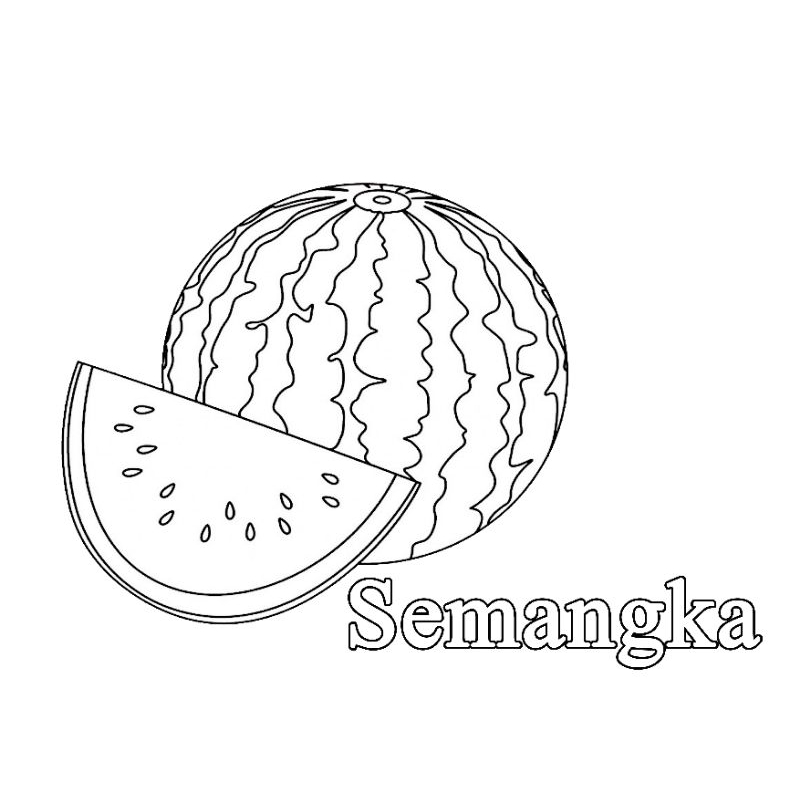 Jual Buku / lembar kertas mewarnai gambar buah semangka | Shopee Indonesia
