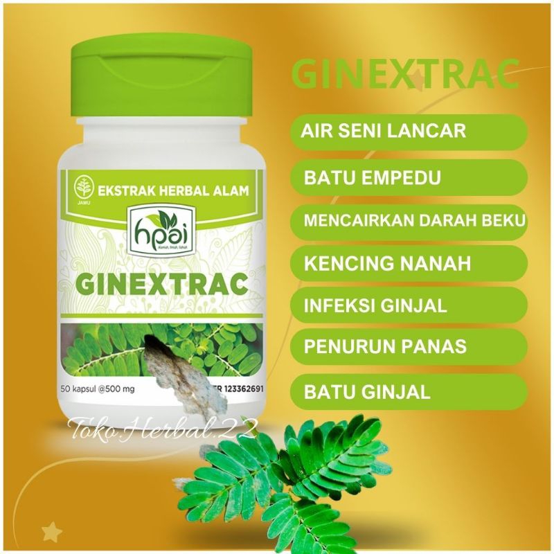 Jual Ginextrac Hni Hpai • Isi 50 Kapsul • Herbal Untuk Masalah Ginjal