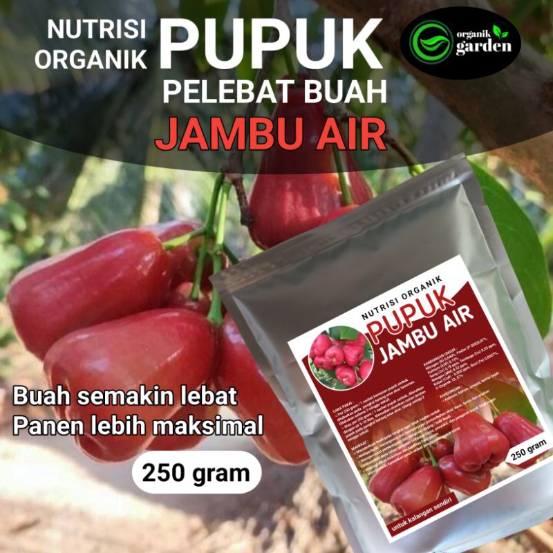 Jual Pupuk Pelebat Buah JAMBU AIR | Booster Nutrisi Organik 250 Gram ...