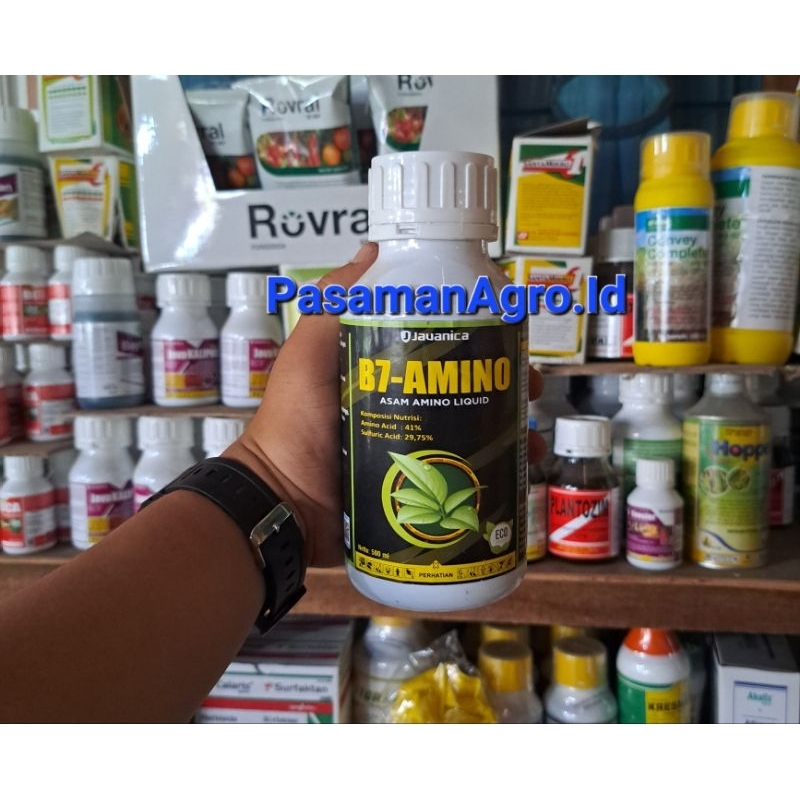 Jual B7-AMINO Asam Amino Liquid - 500 ML | Shopee Indonesia