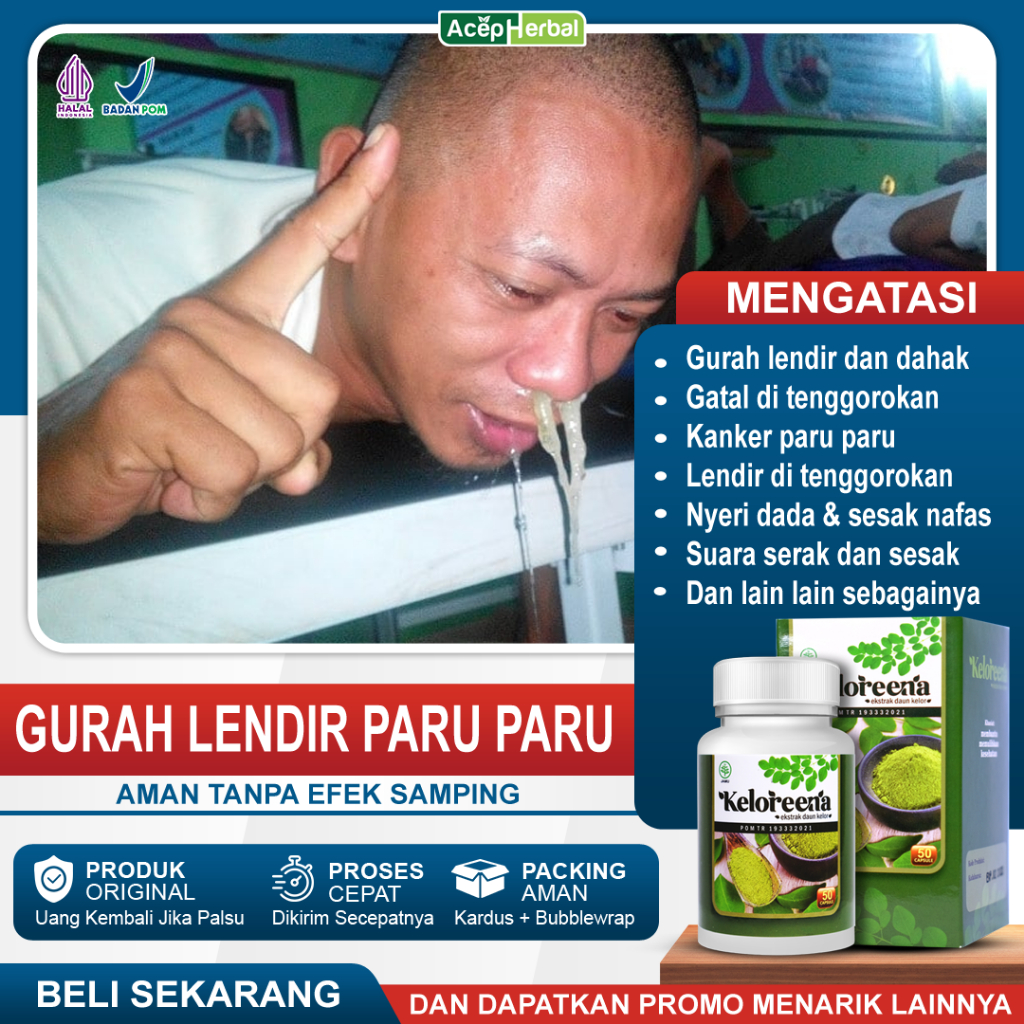 Jual Obat Gurah Lendir Dan Dahak Paru Paru Hidung Tenggorokan Batuk Berdahak Berlendir Flek Paru 3271