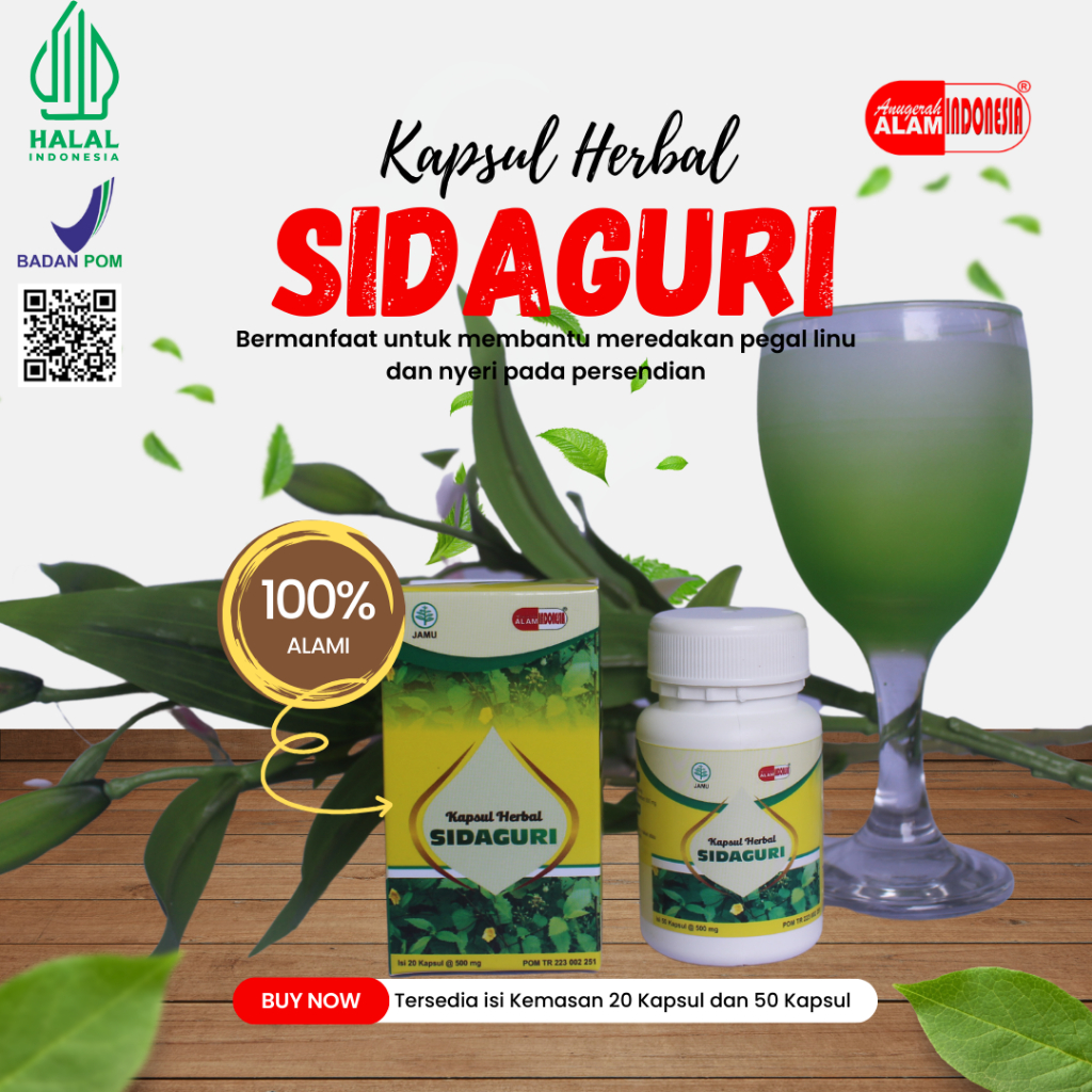 Jual Kapsul Herbal Sidaguri 20 Kapsul Anugerah Alam Indonesia