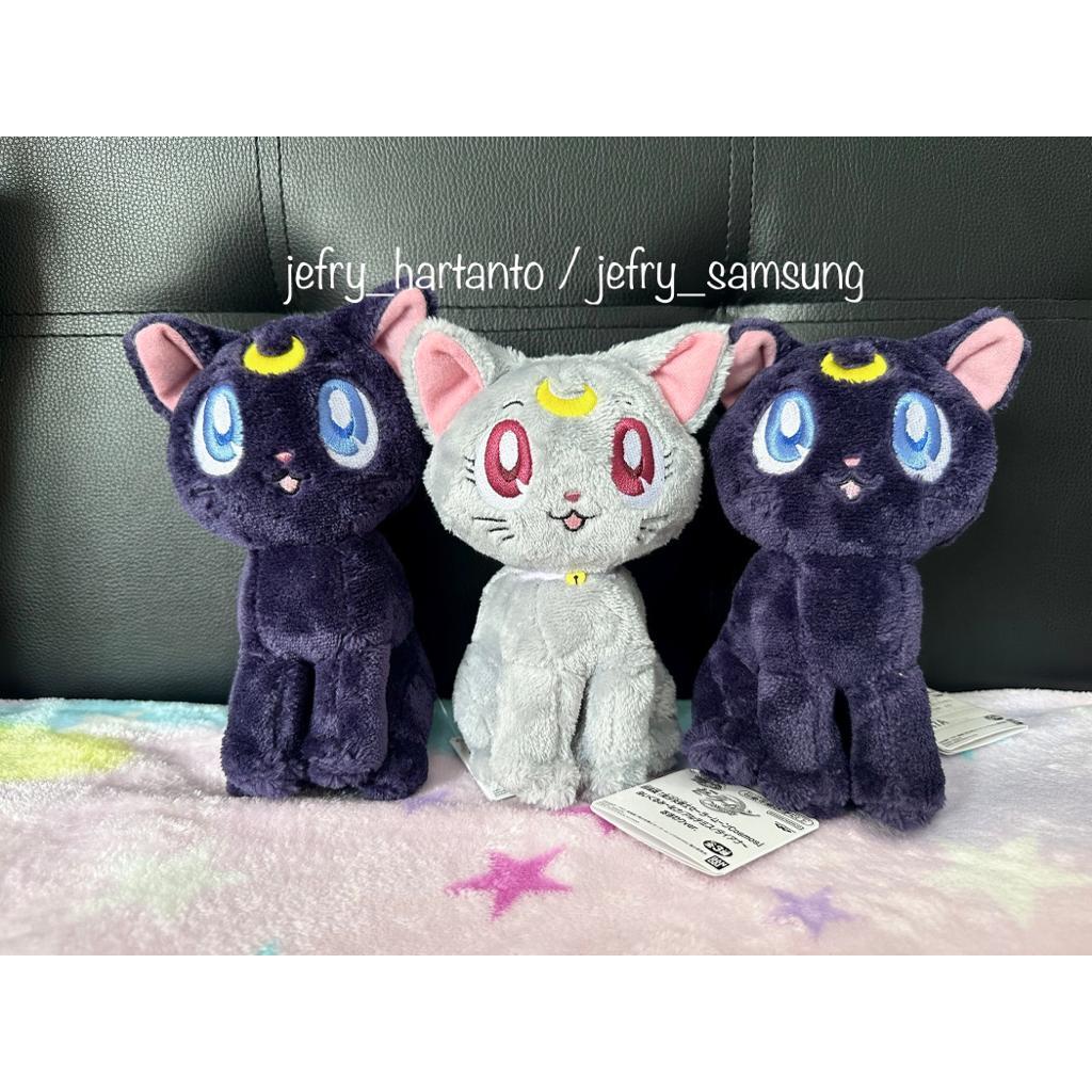 Smart Doll スマートドール Moon ムーン 新品同様（Smart Doll 