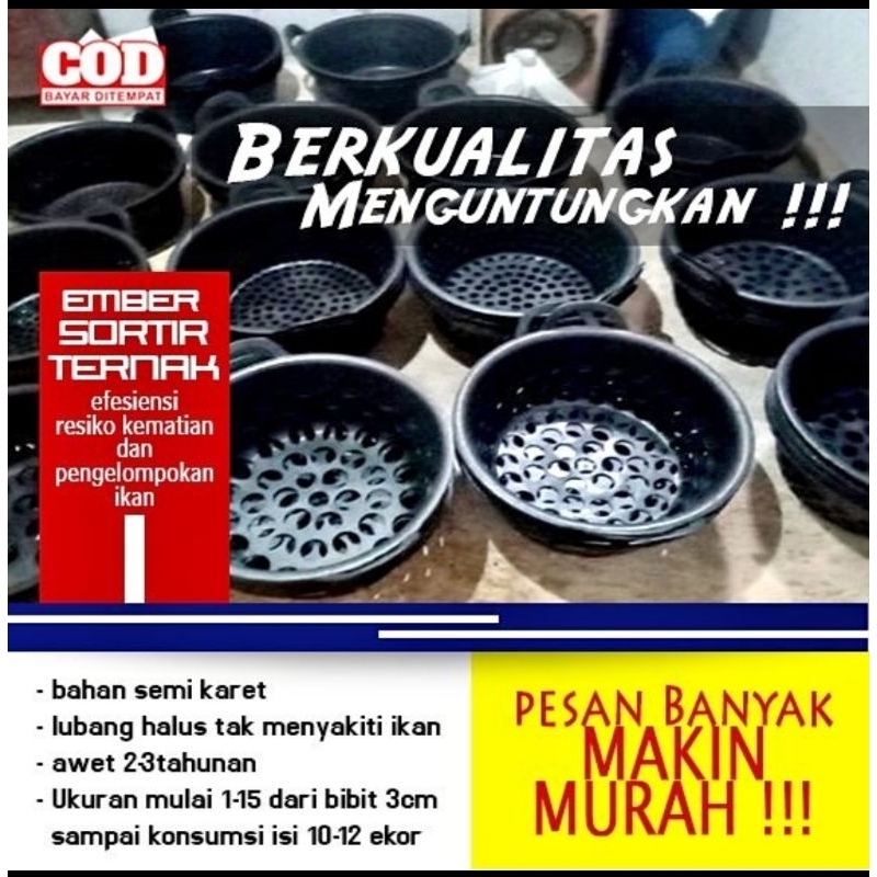 Jual Bak Sortir Lele/Alat Sortiran Lele/Ember Sortir Ikan Lele | Shopee ...
