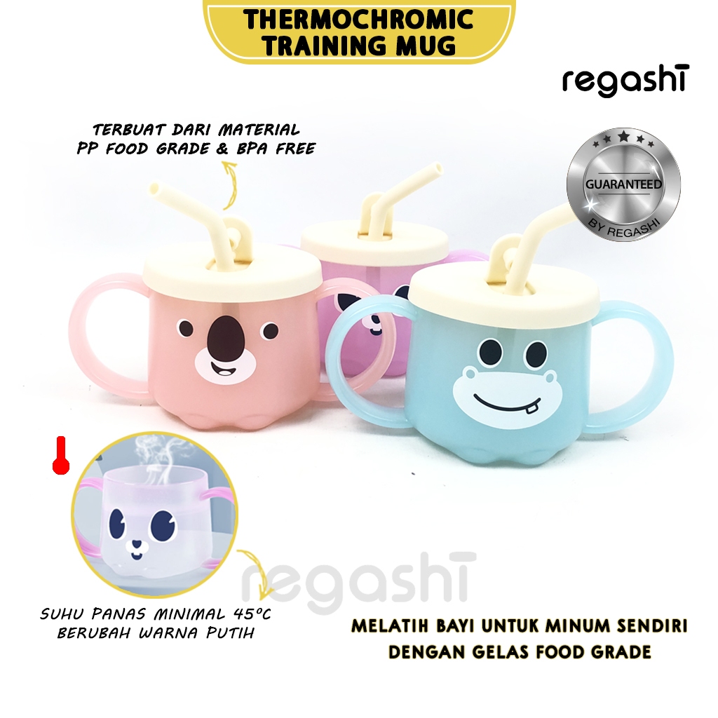 Jual Regashi Thermochromic Straw Training Mug Training Cup And Straw