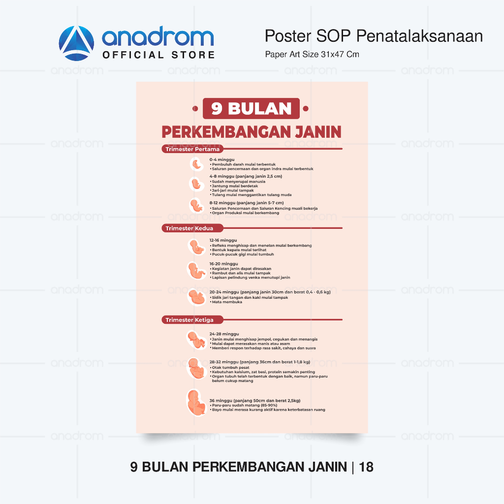 Jual Poster Kesehatan Sop Penatalaksanaan Medis Poster Promkes Promosi Kesehatan Poster