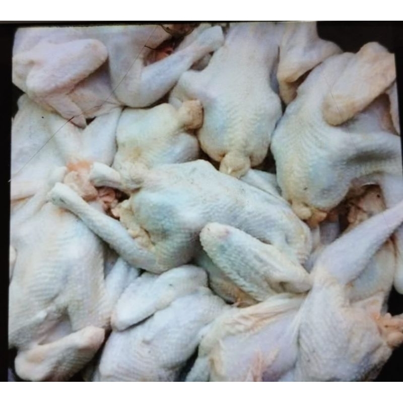 Jual Ayam karkas ayam kampung asli 1kg 75000 | Shopee Indonesia