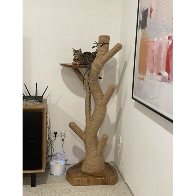 Jual CAT TREE 170CM 1 DAUN | Shopee Indonesia