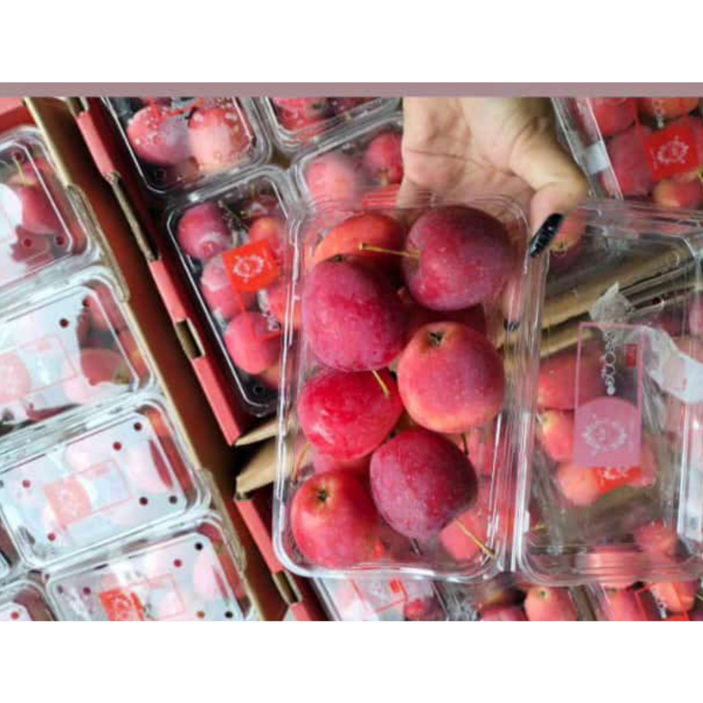 Jual Cherry Apple segar fresh harga per pack(500 gram) | Shopee Indonesia