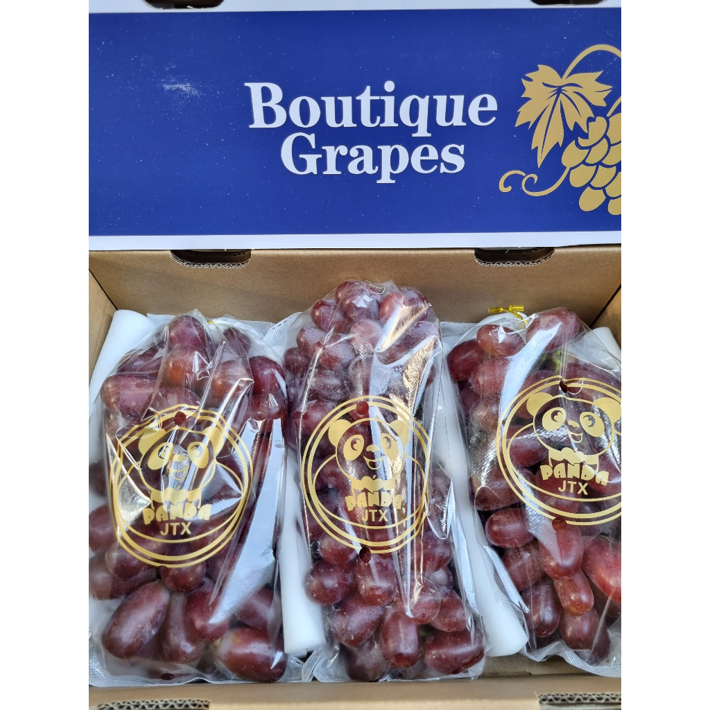 Jual Anggur Red Muscat Pack 450-500gr | Shopee Indonesia