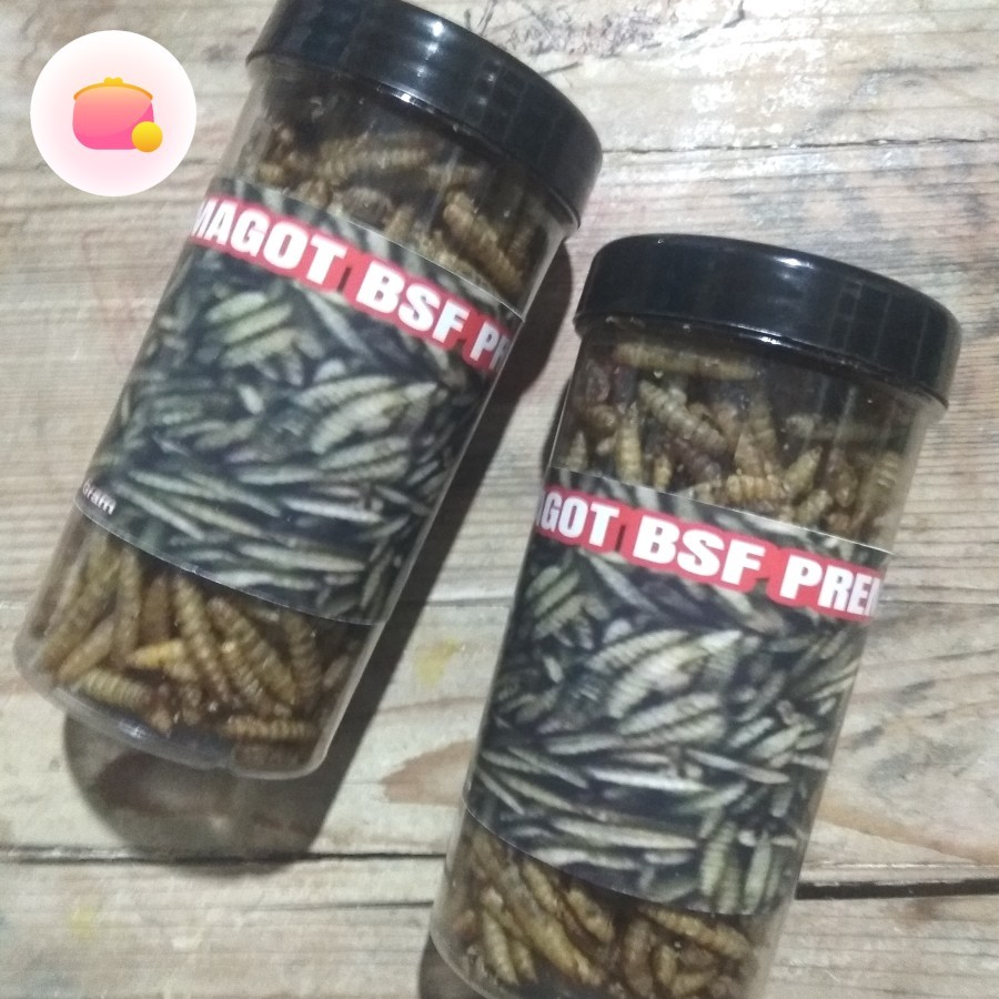 Jual MAGOT BSF PREMIUM MURAH | Shopee Indonesia