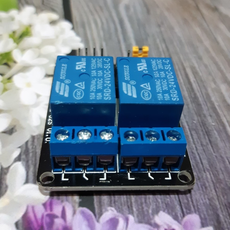 Jual Relay Module 2 Ch 12V DC Low Level Trigger +Optocoupler High ...