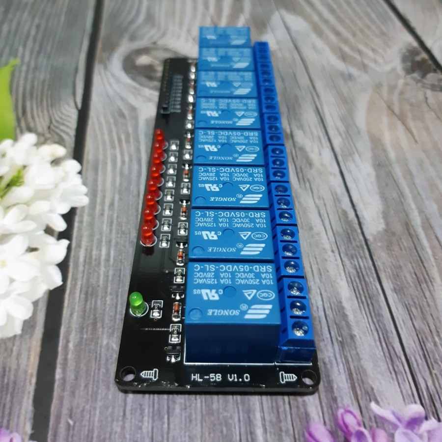 Jual Relay Module 8 Ch Low Level Trigger 5V Tanpa Optocoupler High ...