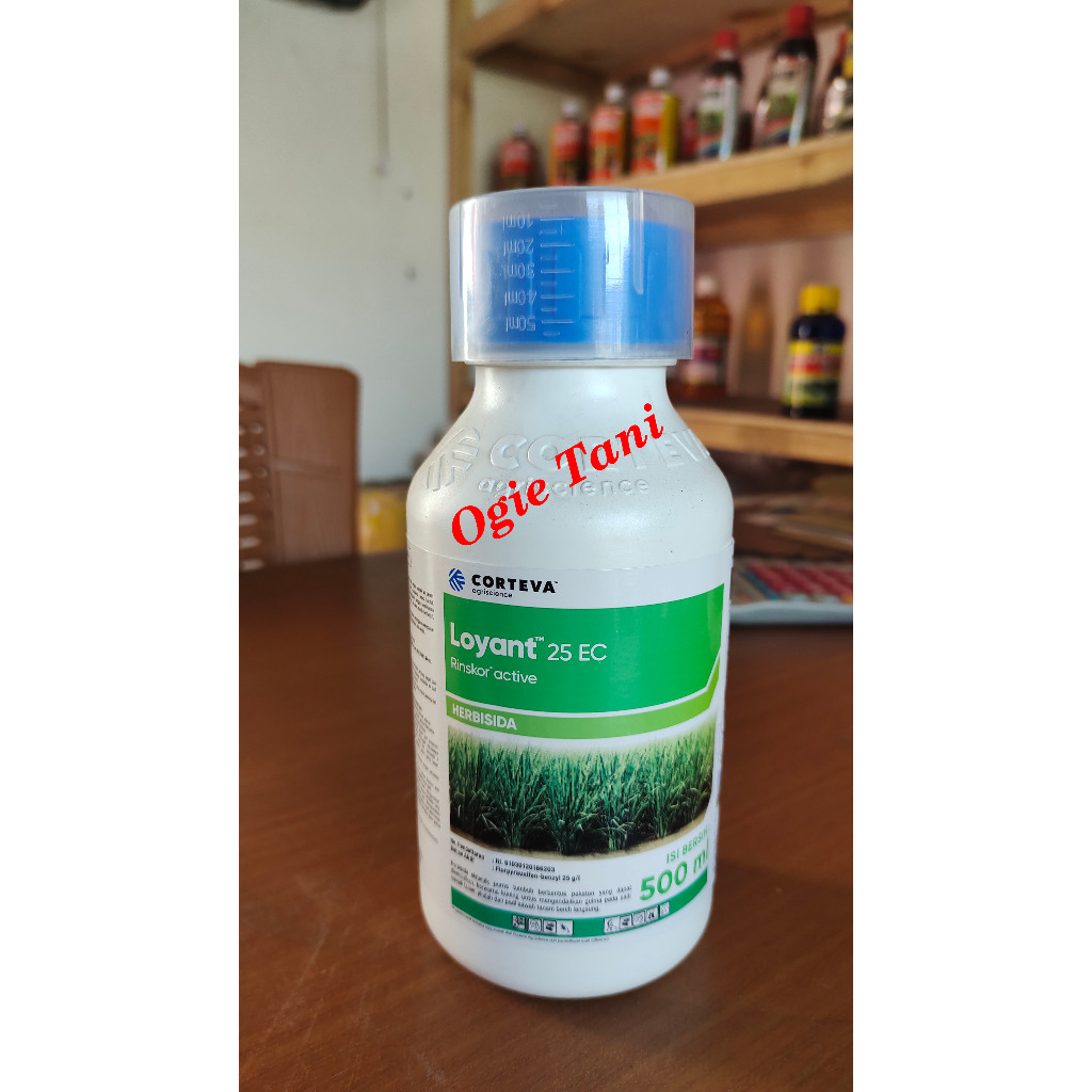 Jual Herbisida LOYANT 25EC 500ML, Merupakan Herbisida Selektif Tanaman ...