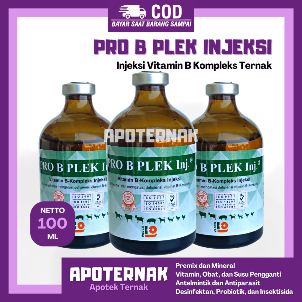 Jual PRO B PLEK INJ 100ml - Cegah Dan Atasi Defisiensi Vitamin B ...