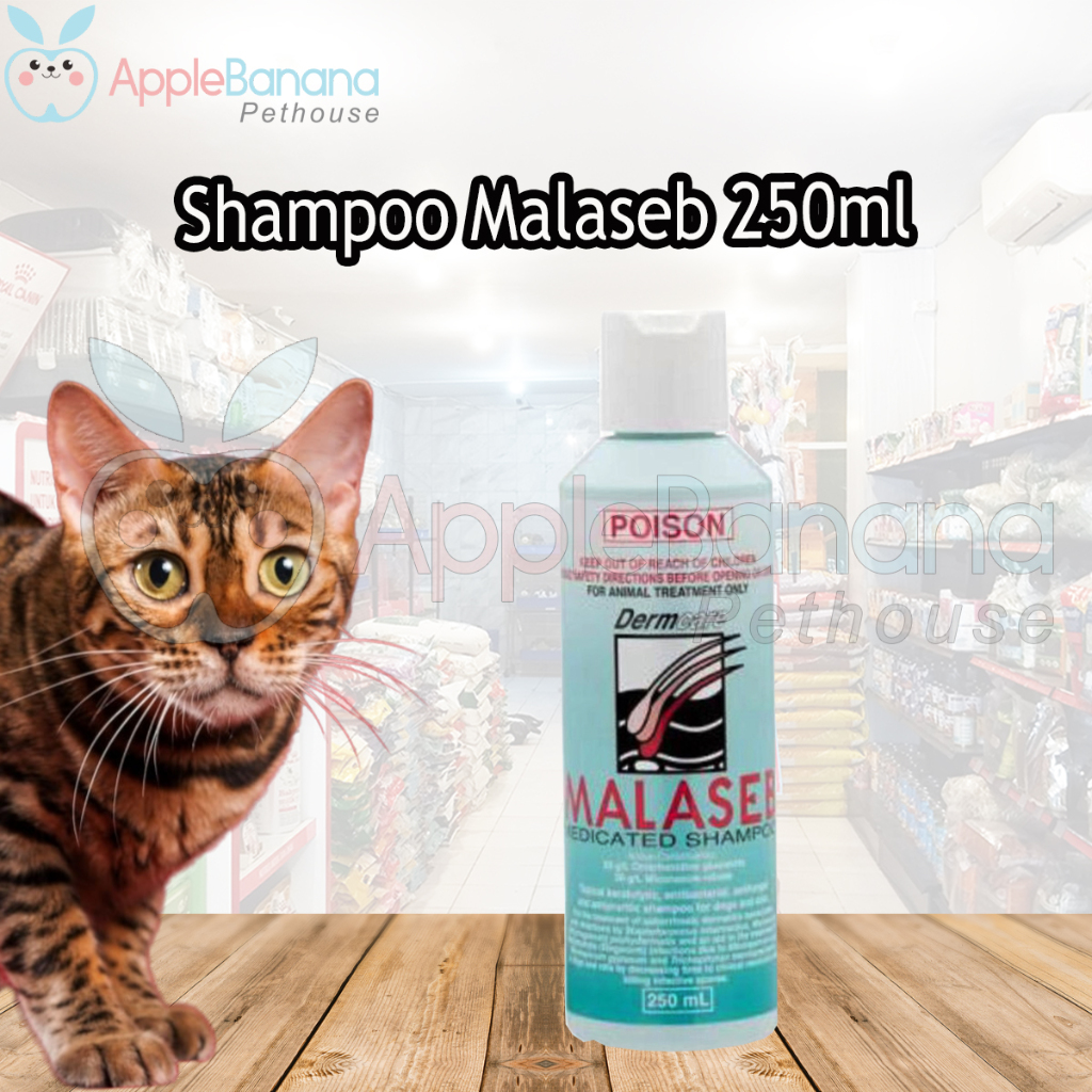 Malaseb shampoo ebay best sale