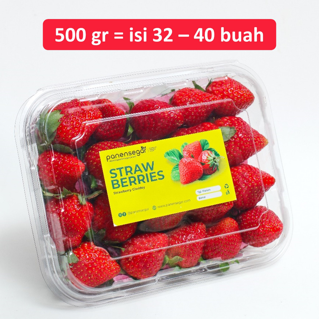 Jual Strawberry Fresh 500gr Premium Grade A Jumbo Panensegar Stroberi ...