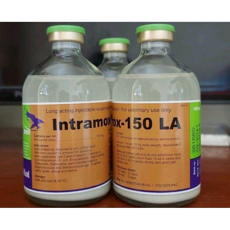 Jual Intramox 150 LA Antibiotik Amoxicillin Spektrum Luas Sapi Kambing ...