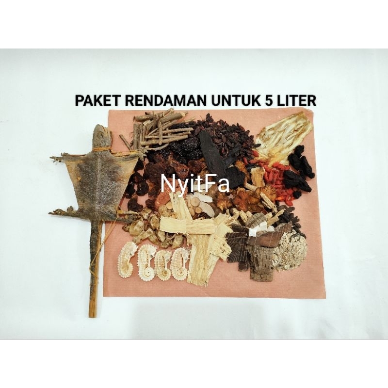Jual Paket rendaman untuk 5 liter | Shopee Indonesia