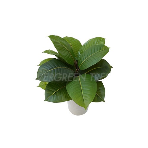 Jual RANGKAIAN BUNGA/ RANGKAIAN DAUN/ ARRANGEMENT/ RGK RUBBER PLANT ...