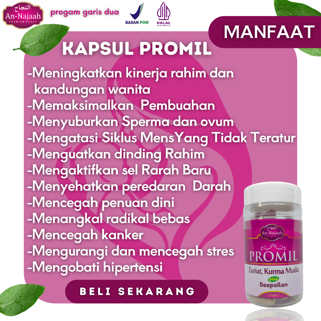 Jual Kapsul Promil An-Najaah Zuriat Plus Kurma Muda 60 Kapsul | Shopee ...