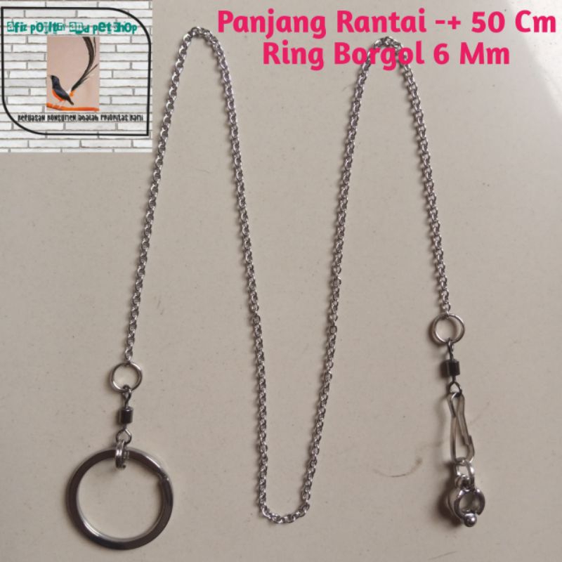 Jual RANTAI KAKI BURUNG IMPORT BAJA TAHAN KARAT UJUNG RING BORGOL 6 MM ...