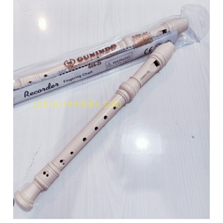 Jual Recorder Musik Terlengkap & Harga Terbaru Juni 2026 | Shopee Indonesia