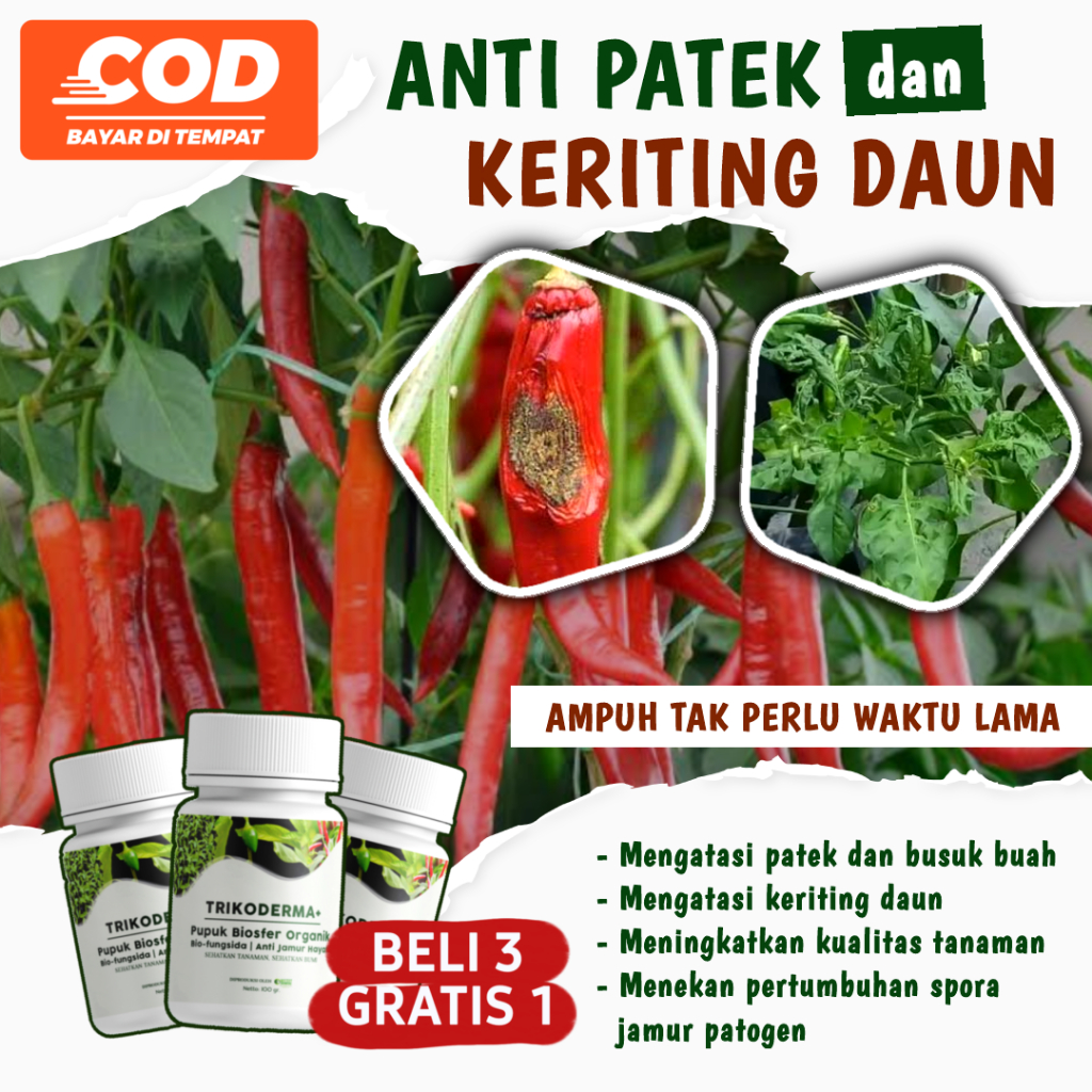 Jual Alfagreen Trikoderma Anti Busuk Buah Obat Jamur Fungisida Patek Cabai Layu Fusarium