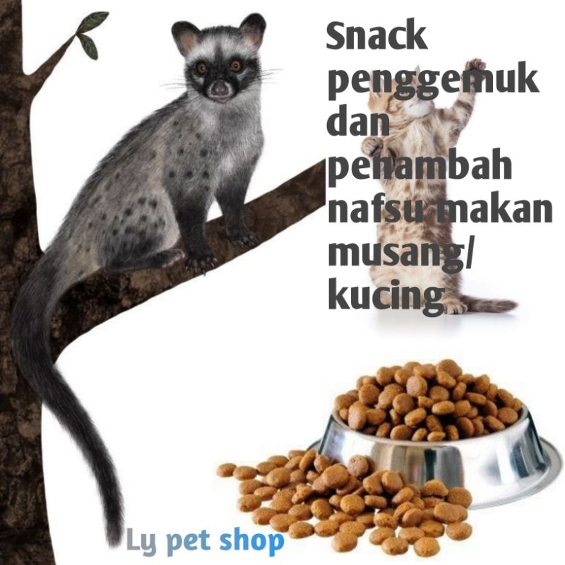 Jual snack musang/kucing kemasan Hemat,menambah nafsu makan dan