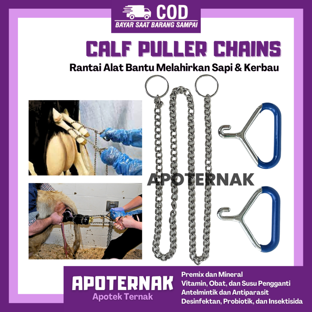 Jual CALF PULLER CHAIN Stainless Steel - Rantai Alat Menarik Pedet Anak ...