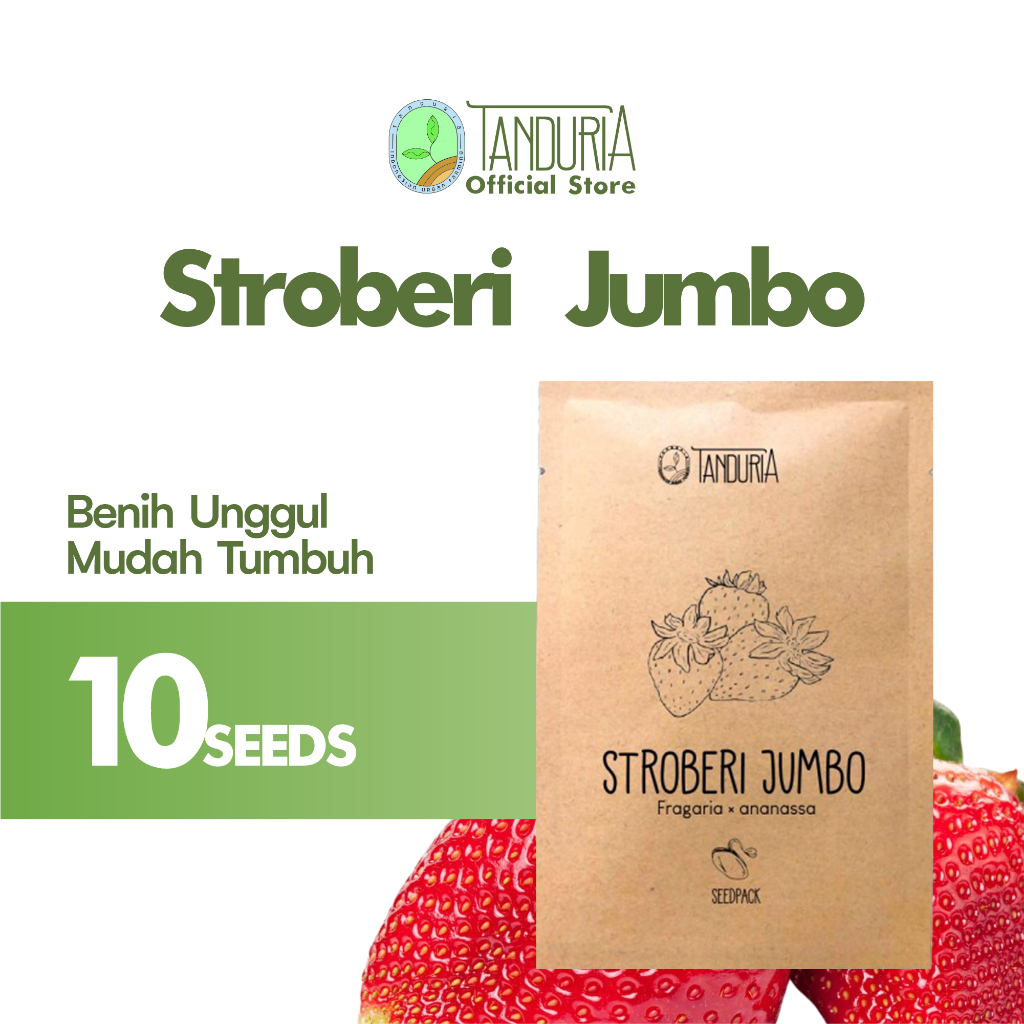 Jual TANDURIA - Benih Strawberry Jumbo / Stroberi California Bibit Biji ...