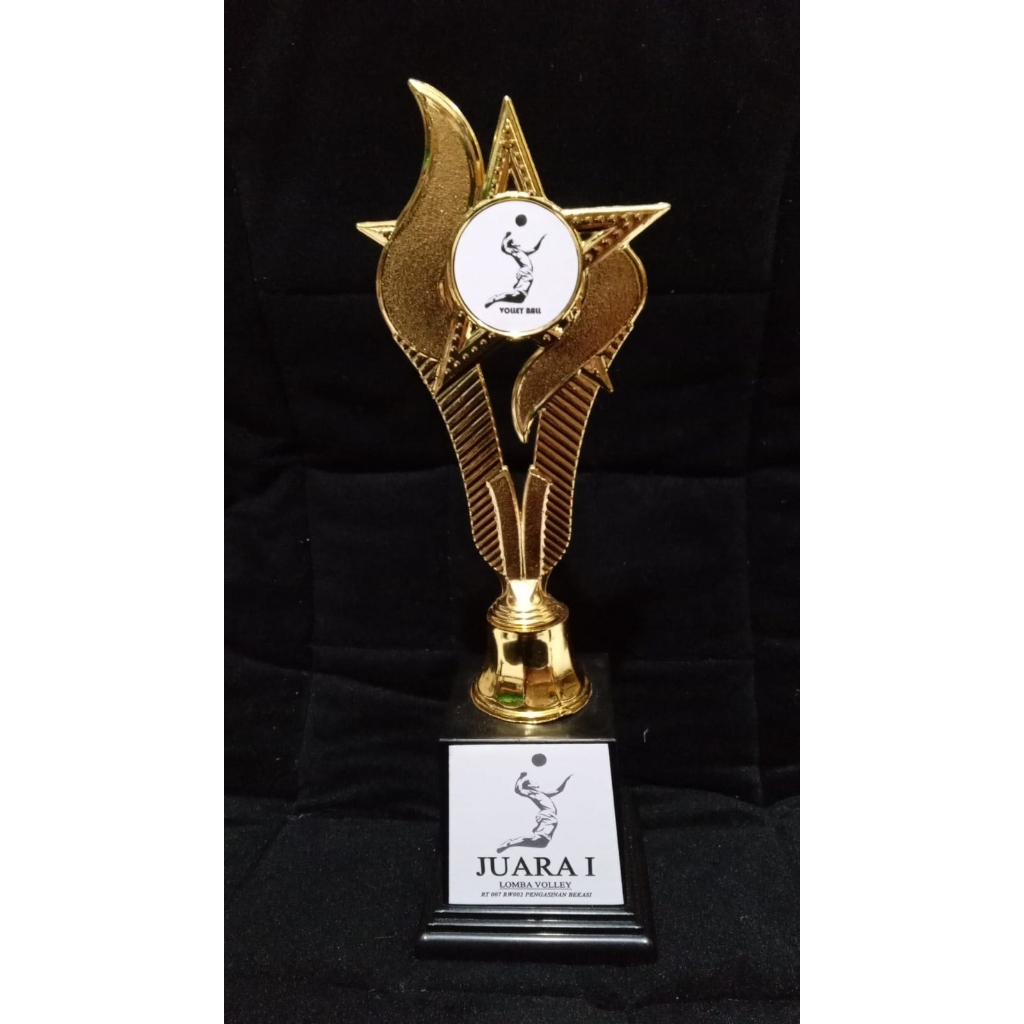 Jual Piala Set Lomba Juara 1 2 3 bisa kostum 