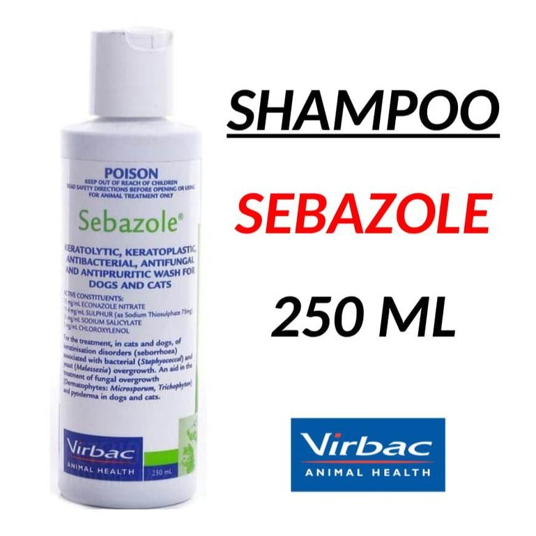 Sebazole dog hot sale shampoo